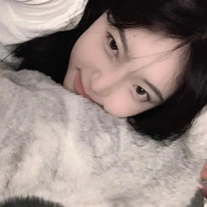 大猫竞技