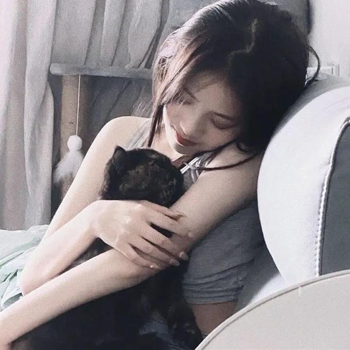 蒙哥一家的故事
